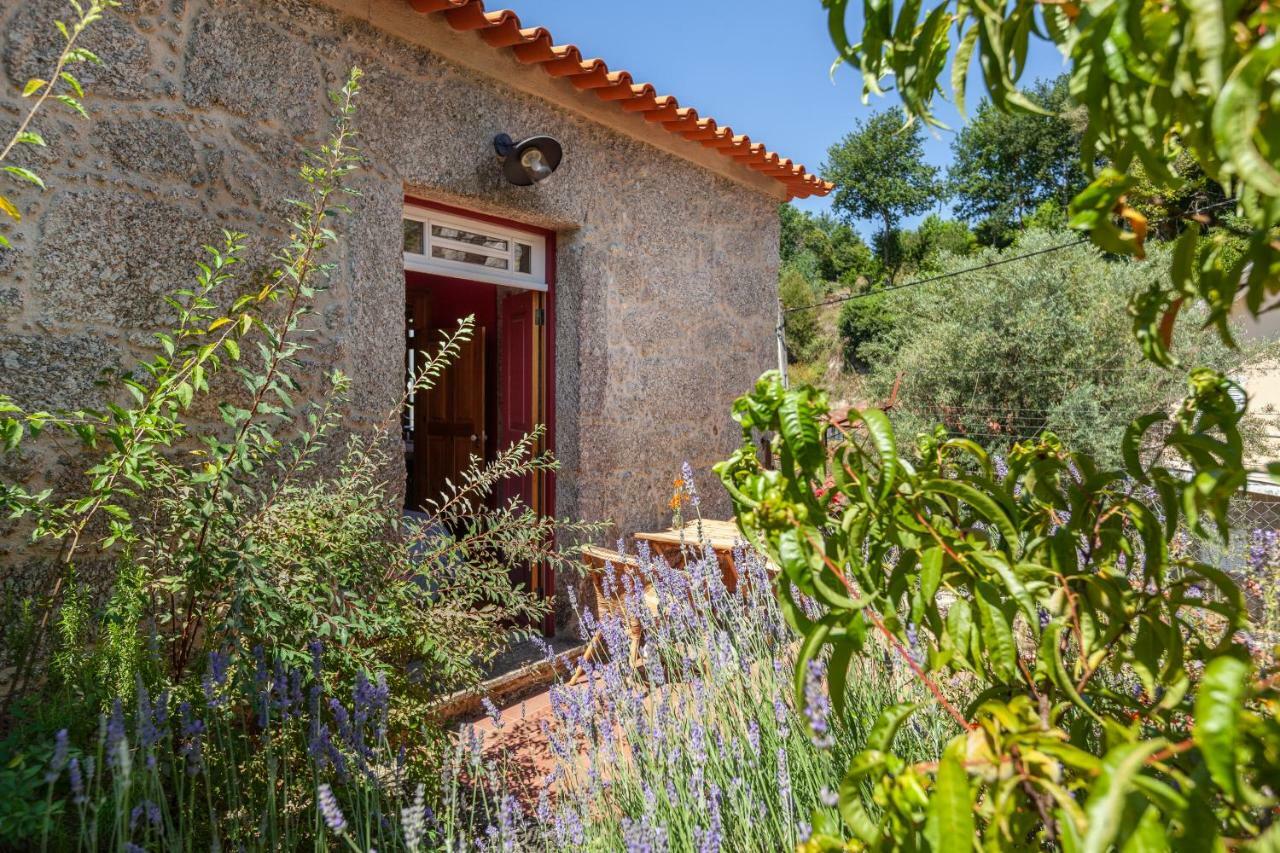 Casa Do Eido - Sustainable Living & Nature Experiences ジェレス エクステリア 写真
